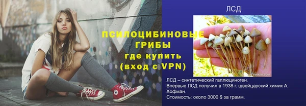 стафф Магас