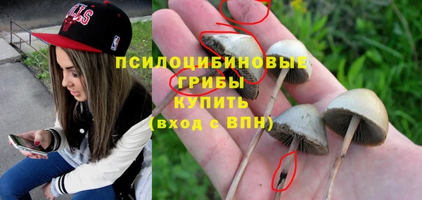 стафф Магас