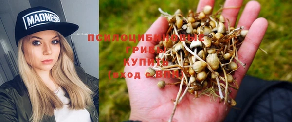 амф Майский