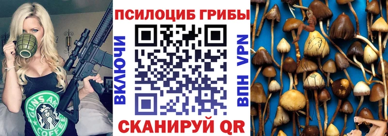 Галлюциногенные грибы мицелий  где найти наркотики  мега ТОР  Оха 